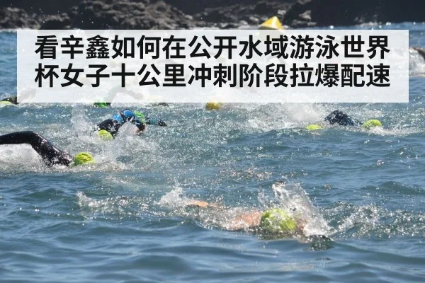 open water swimming race